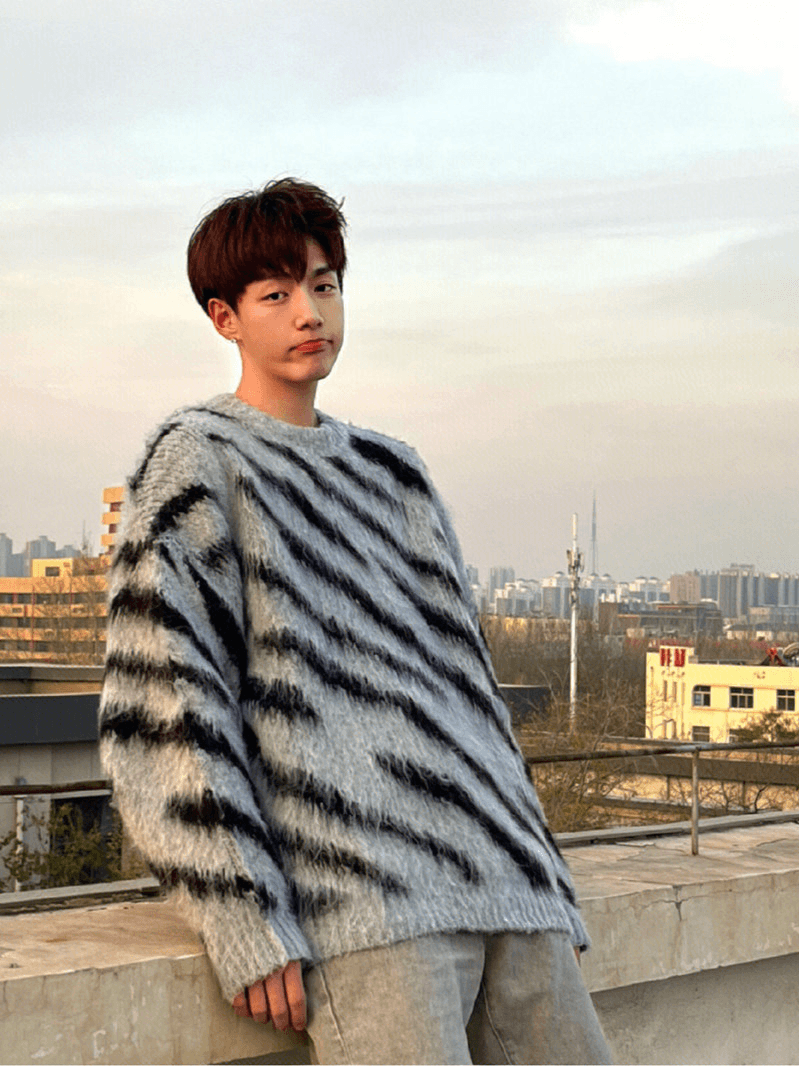 [XXXHOT] Zebra Pattern Mohair Sweater ST1540