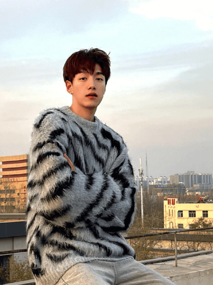 [XXXHOT] Zebra Pattern Mohair Sweater ST1540